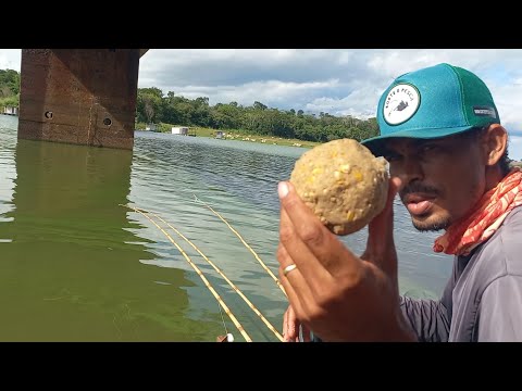 Pescaria de curimba e piau no bambuzinho Rio turvo