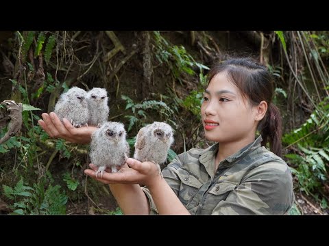 Setting turkey traps, skills to tame young birds, survival