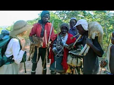Tanzanie, dans le territoire des lions