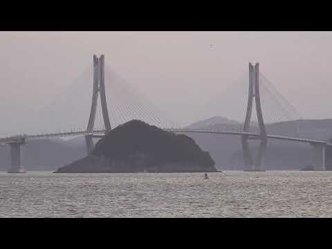 Ship spotting Busan 부산항의 배들