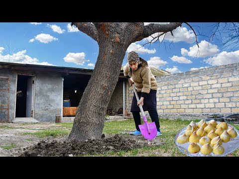 Baking Dessert with old Grandma! and Edging Around Trees