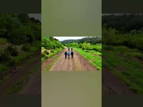 Adım Adım Salavat Doğa Yürüyüşü (17 Mayıs 2026)