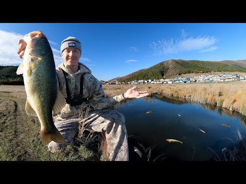 7 Days Fishing in Colorado (Exploring, Hiking & Biking)