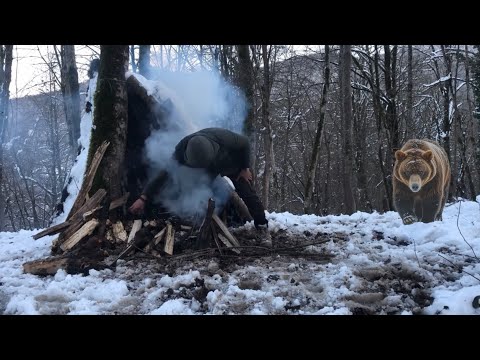 Winter Bushcraft Camp in wilderness Survival camping in