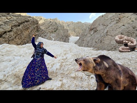 A mysterious colorful bird in the mountains: Kulthum in