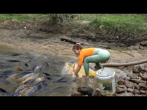 Interesting Fishing Alone, Used a Pump to Suck Up All The