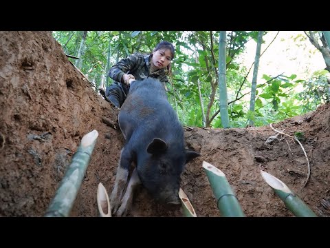 Detect traces of wild boars and immediately set traps to