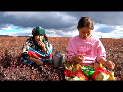 Life In Tundra in FAR NORTH. How people live in Russia &