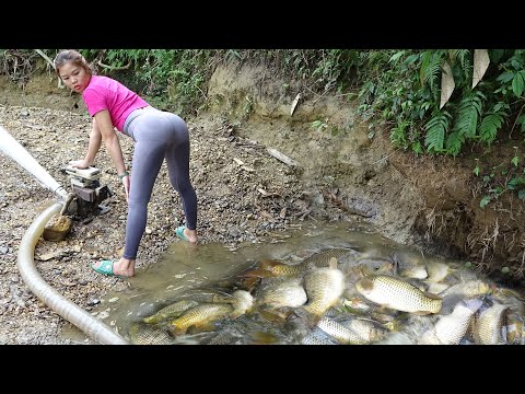 Amazing fishing - Using pumps, pumping water outside the
