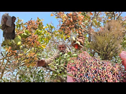 A storm in the mountains: How do we collect mountain