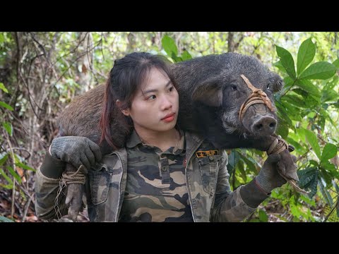 Wild Boar Caught in My Trap, How to Keep Goats Warm in the