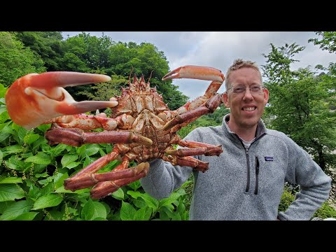 Spearfishing, Diving & Snorkeling Entire UK - Catch & Cook