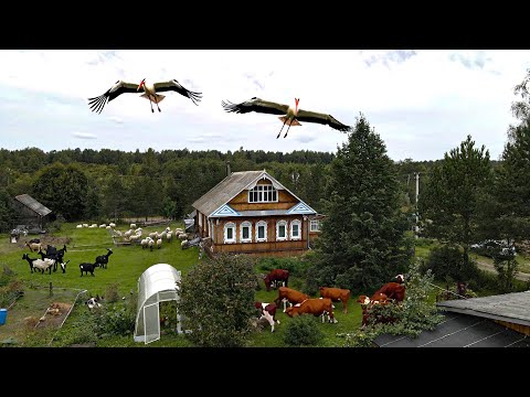 Life in Russia today. How people live in Russia in 2024?