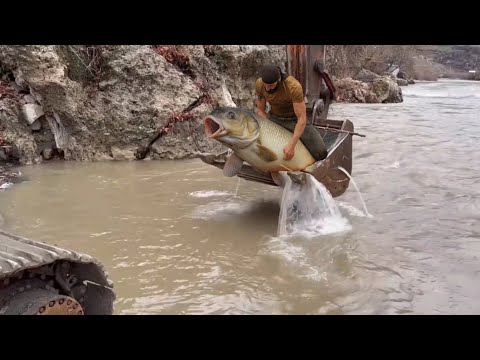 The five most effective fishing techniques