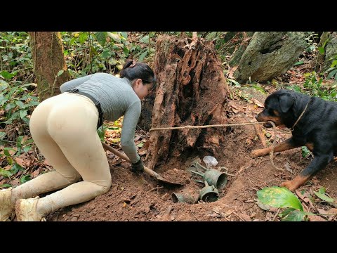 Hidden for Centuries…my clever dog has found a treasure