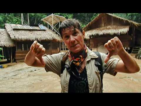 Bassin du Congo : une forêt face à l'Homme