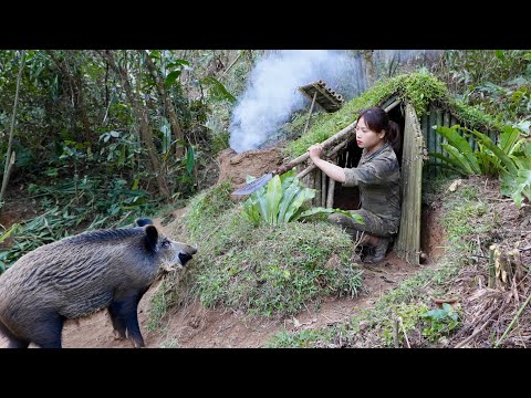 Wild boar attacked my shelter, wild chicken hunting skills,