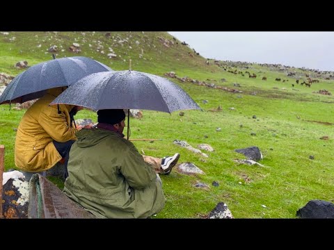 AĞRI DAĞINDA YAĞIŞLI HAVA- ÇADIR KURDUK