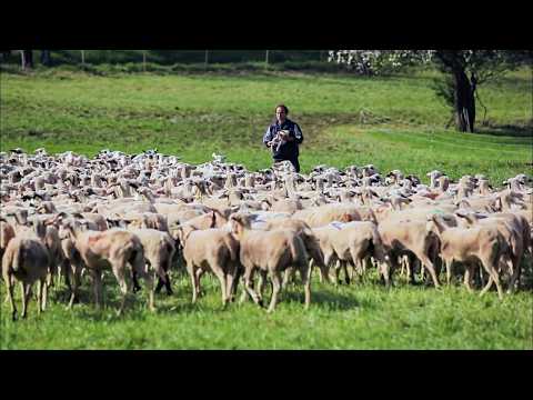 Midi-Pyrénées, les traditions françaises bien ancrées