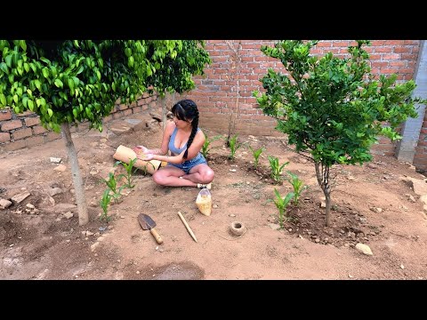 Transformando mi patio en una mini parcela de maíz