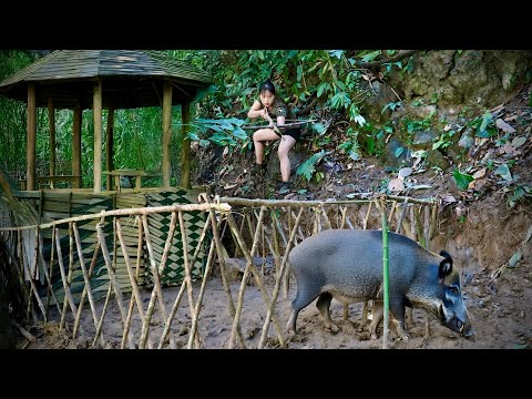 The wild boar broke into my shelter in the middle of the