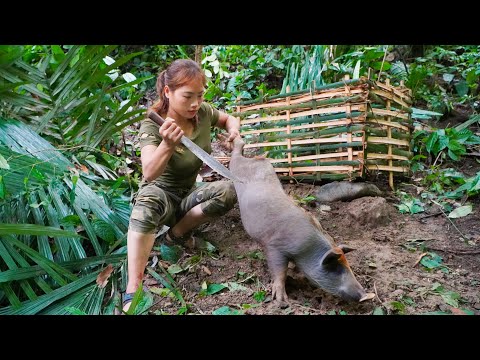survival skills, catching traps, catching wild boars,
