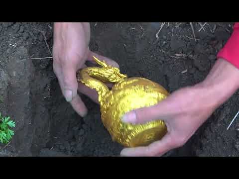 Found 5 Explosive Devices Underwater with the U S Navy
