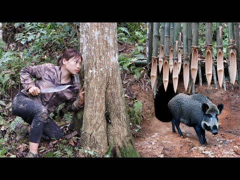 detecting and tracking wild boars, trap making skills,