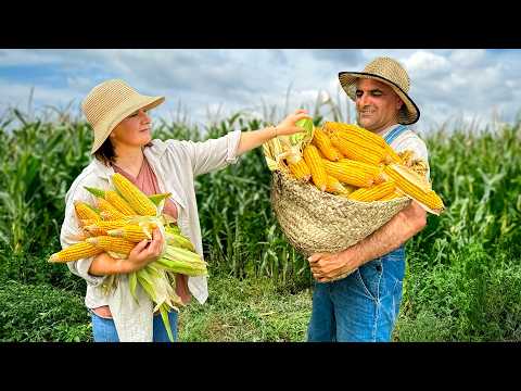 Harvested Corn in a Faraway Village Cooking Big Turkish
