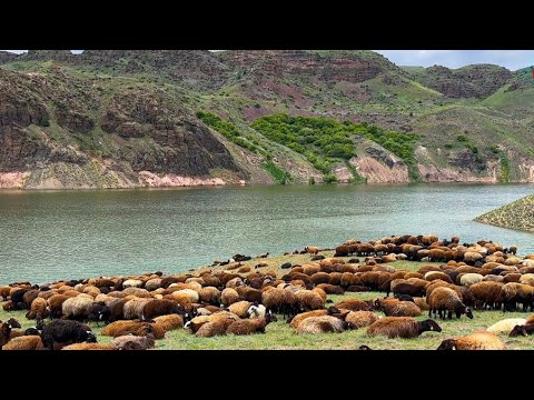 TÜRKİYE’NİN EN GÜZEL DOĞAL ALANLARINDAN BİRİNDE YAYILAN