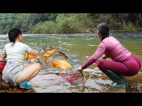 Full Video: The Girl Fishing Alone on Rivers and Lakes,