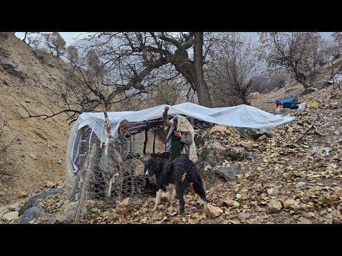 The nomads are trying to save themselves from the harsh
