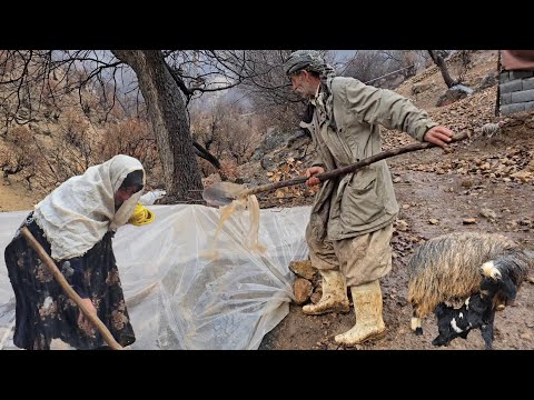 Iran nomadic life: Jahangir's efforts to save his sheep