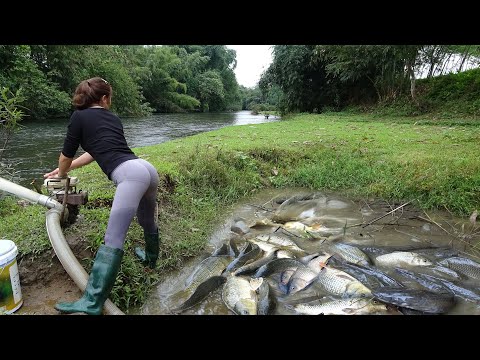 TOP VIDEOS: Fishing Techniques, Unique Fishing, Catch A Lot
