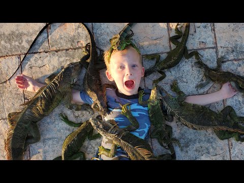 14 Days Fishing & Hunting Invasive Species in Florida