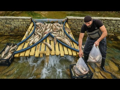 He Catches 150 kilos of Fish a Day bir With the System he