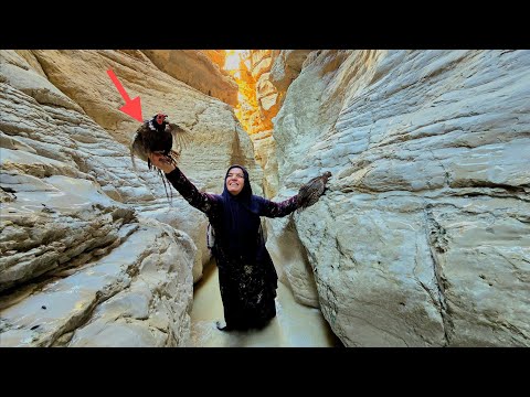 Kulthum's journey to the dreamy waterfall: The story of