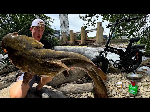 Surprise GIANT Flathead Catch in Downtown Minneapolis w/