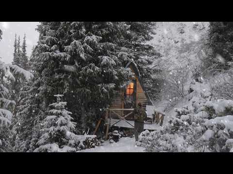 This Forest Cabin Saved My Life Blizzard & Wild Animal