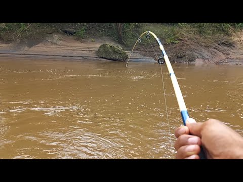 Rio Miranda esse Rio só tem monstro é jogar na corredeira e