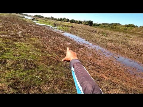 Pescaria Raiz no Rio Turvo se contar ninguém acredita veja
