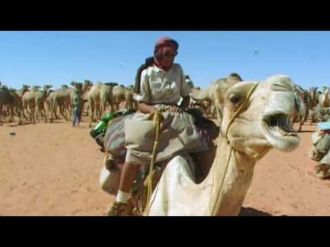 Égypte : vers la frontière israélienne