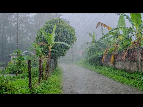 EXTREME WEATHER MOST INTENSE HEAVY RAIN & WINDSTORM WALKING