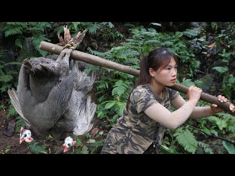 wild bird trapping skills with rope, making shelter for