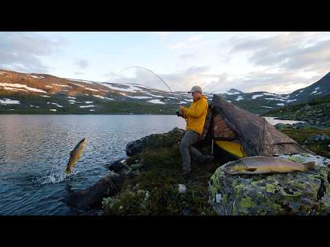 Solo Camping and Fishing at a Remote Mountain Lake Catch