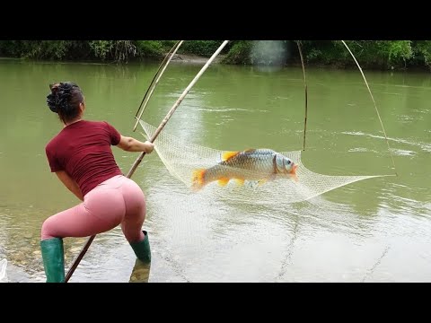 Full Videos: Fishing Techniques and How To Trap Stream