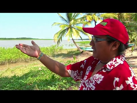 Guyane : la menace grandissante de l'océan