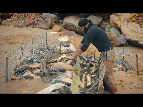 I Caught Kilos of Fish With a Simple Plastic Pipe