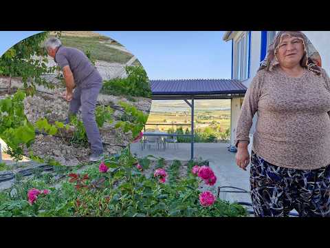 AKŞAM AKŞAM ASMALARIMIZIN BAKIMINI YAPIYORUZ HATİCE HANIM