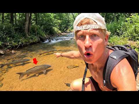 This Tiny HIDDEN Creek is FULL of Fish